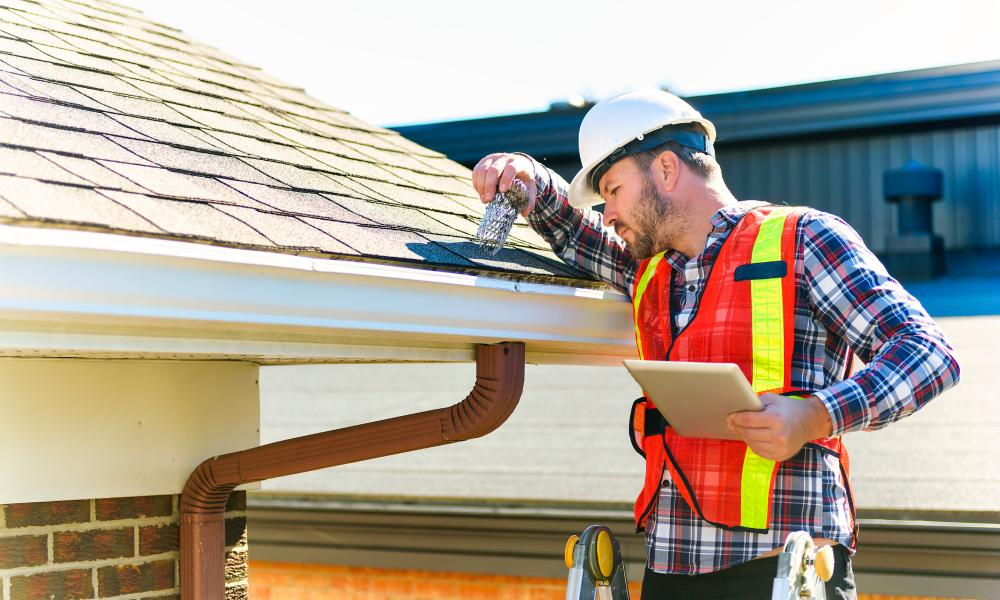 The importance of building and pest inspections